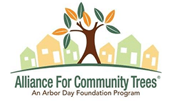 Alliance for Community Trees