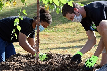 Community Forestry