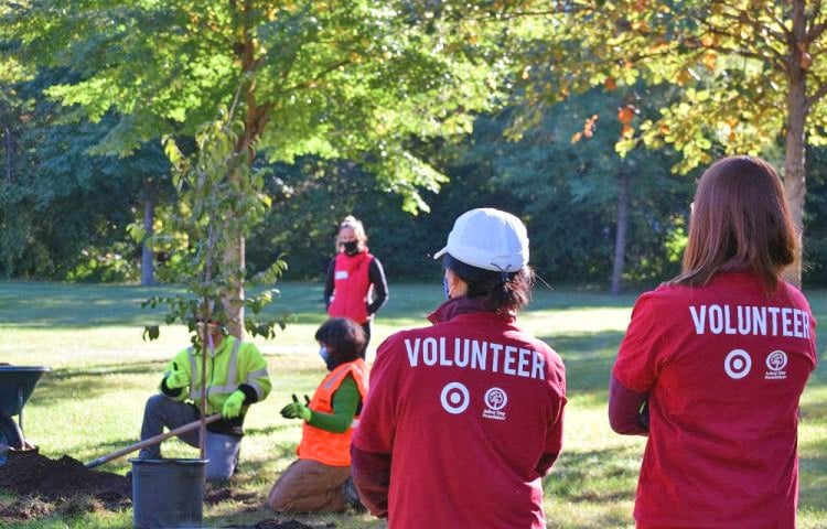 Corporate Tree Planting Sponsorship