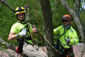 Tree Trust YouthBuild