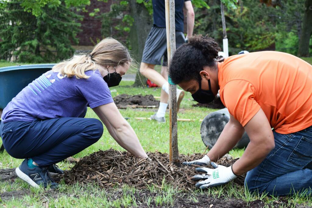 Support Our Tree Planting Organization: Volunteer Now - Tree Trust