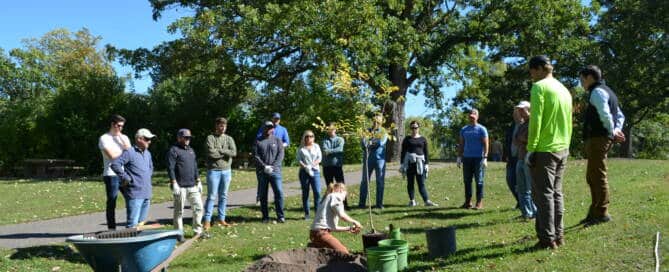 Trees and community health