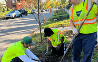 youth planting trees