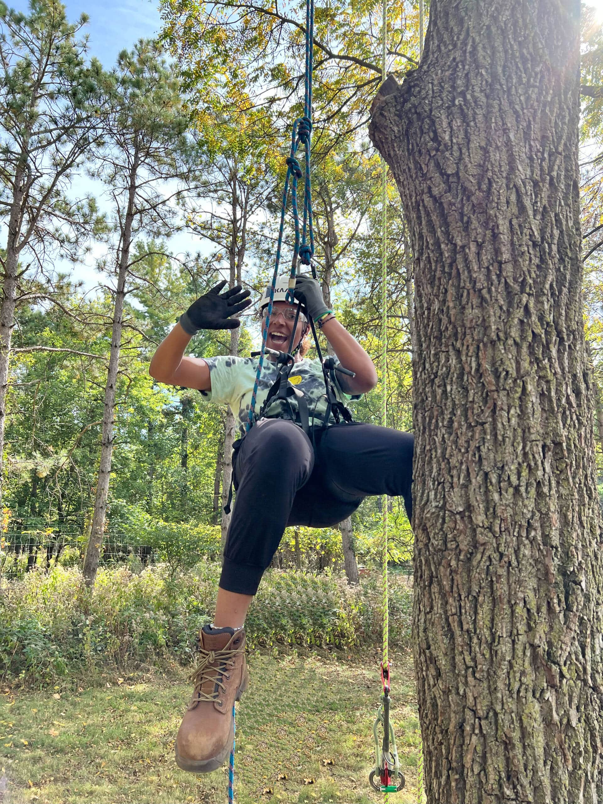 tree climbing training