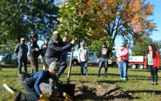 Careers in Forestry