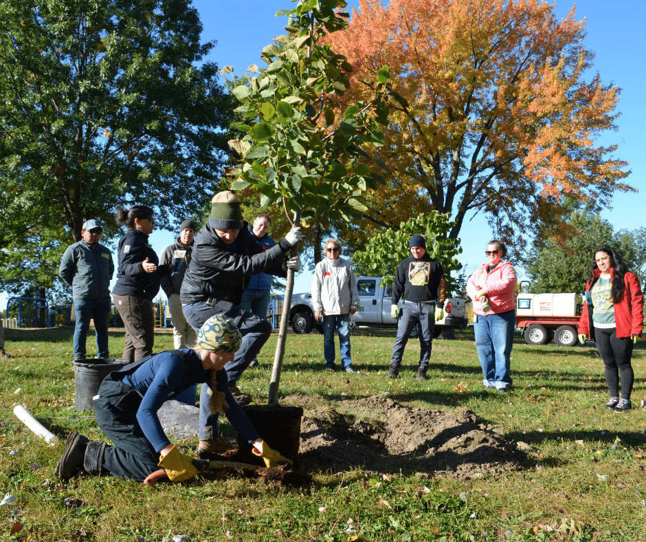 Forestry Careers