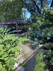 What to Plant in a Shaded Garden