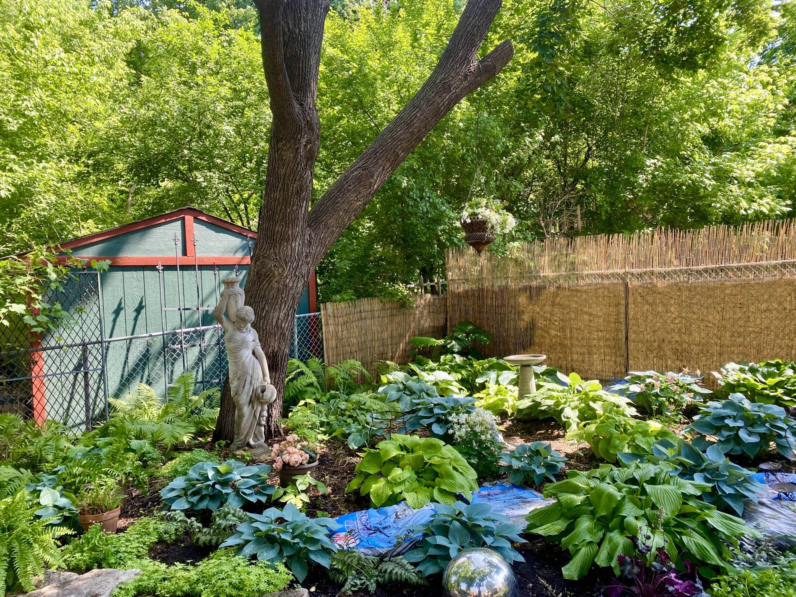 What to plant in a shaded garden What to plant in a shaded garden