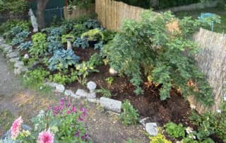 what to plant in a shaded garden